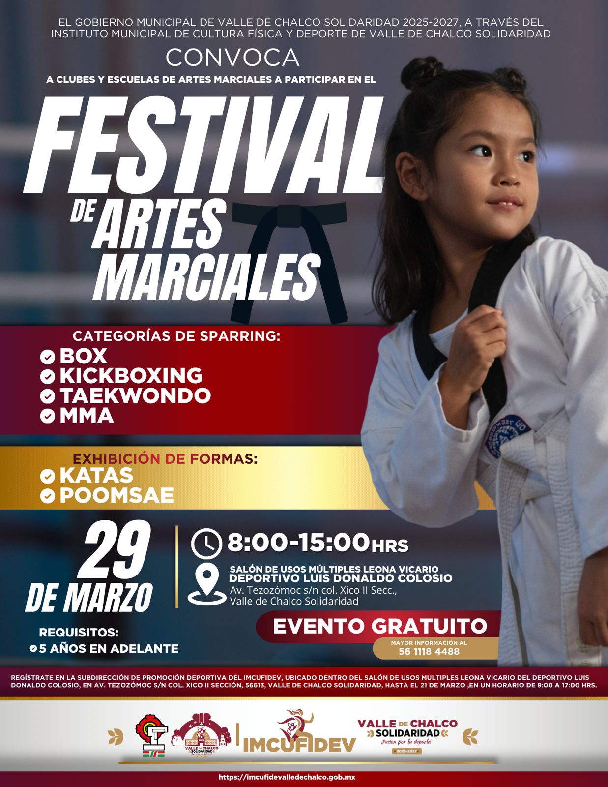Festival de las Artes Marciales